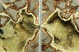 Crystal Filled Septarian Geode Bookends - Utah #288944-1